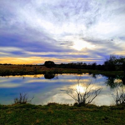 Profile Picture of Max Camarillo (@maxcam5731) on Twitter