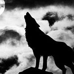 Kevin Drew - Instagram Profile Picture of Kevin Drew (@kevindrew1982) on Instagram