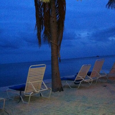 Matt Wainscott - Twitter Profile Picture of Matt Wainscott (@WainsWorld561) on Twitter