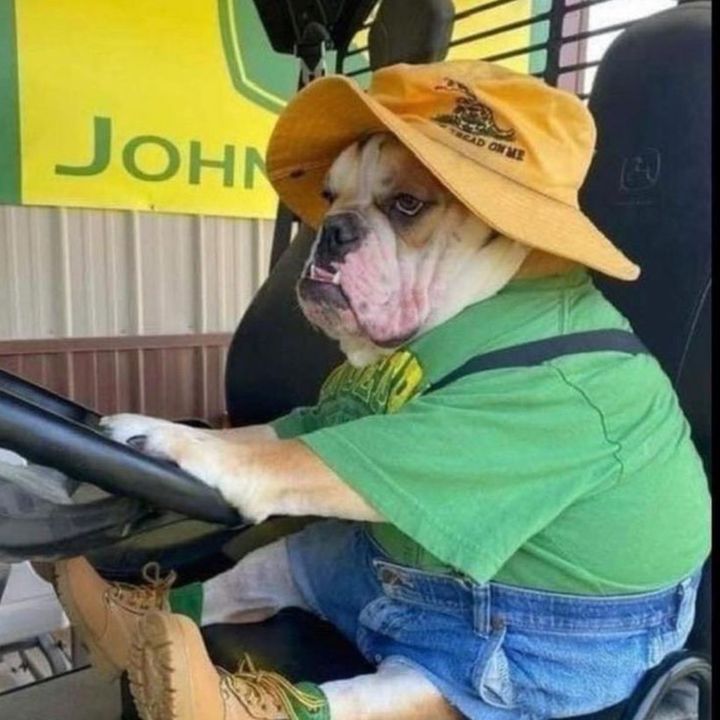 Profile Picture of Lil leer (@ralphlerro26) on Tiktok