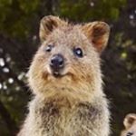 Profile Picture of Claire Lynnet (@claire_likes_green) on Instagram