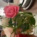 Profile Picture of CHARLISE SINGLETON (@charlise_singleton) on Pinterest