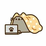 Profile Picture of Davide Licari (@davide.licari.71) on Instagram