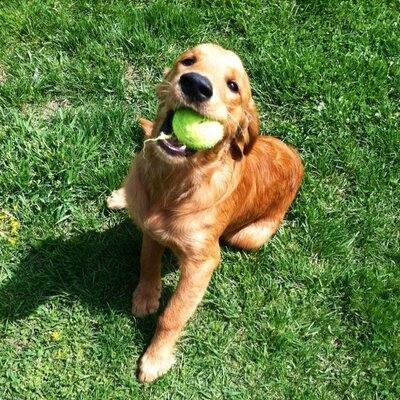 Profile Picture of Jonathan Cubbage (@cubbge88) on Twitter