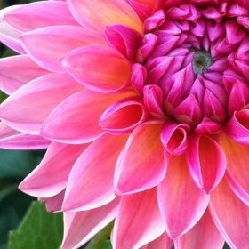 Profile Picture of Trina Whiteside (@glenandtrina) on Pinterest