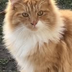 Profile Picture of Kristine Susbilla Fields (@kristine.fields.395) on Facebook