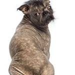 Christopher Lathan - Instagram Profile Picture of Christopher Lathan (@lathanchristopher) on Instagram