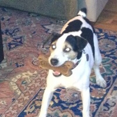 Profile Picture of Brisco (@NateFleetwood) on Twitter