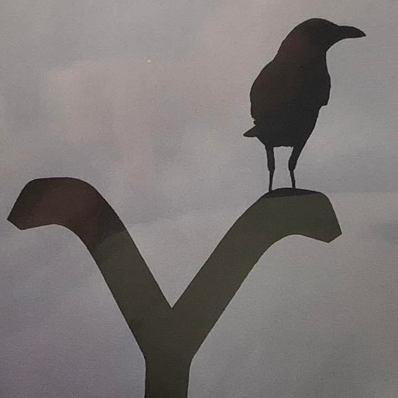 Profile Picture of Joy Dolecki (@joy_dolecki) on Poshmark