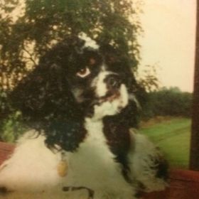 Profile Picture of joyce evans (@joyce123evans) on Pinterest