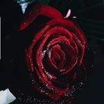 Profile Picture of Huda mahmoud (@hudaaliyu_) on Instagram