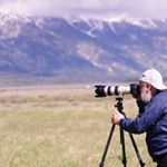 Profile Picture of Larry Abe Curland (@birdsongimages) on Instagram