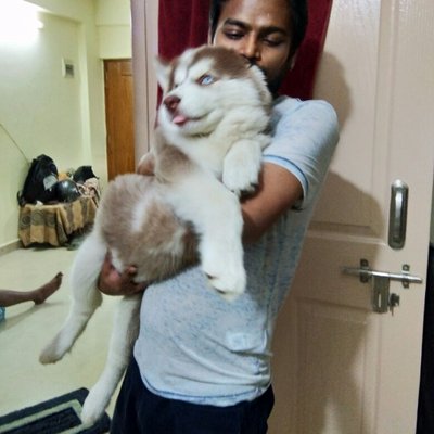 Profile Picture of Anant Singh (@writetoanant) on Twitter