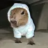 Profile Picture of ryankrupp135 (@ryankrupp2) on Tiktok
