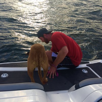 Profile Picture of Jason (@JasonPfeffer) on Twitter