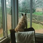 Profile Picture of Judith Ashley (@judith_b_ashley) on Instagram