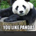 Profile Picture of brett woolsey (@brett.woolsey24) on Instagram