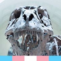 Profile Picture of Alexander Nicholas (@alexander-nicholas-5) on Quora