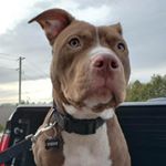 Profile Picture of Kevin Arruda (@sunkisd69) on Instagram