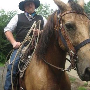 Profile Picture of Dave Gittings (@gittings_dave) on Twitter