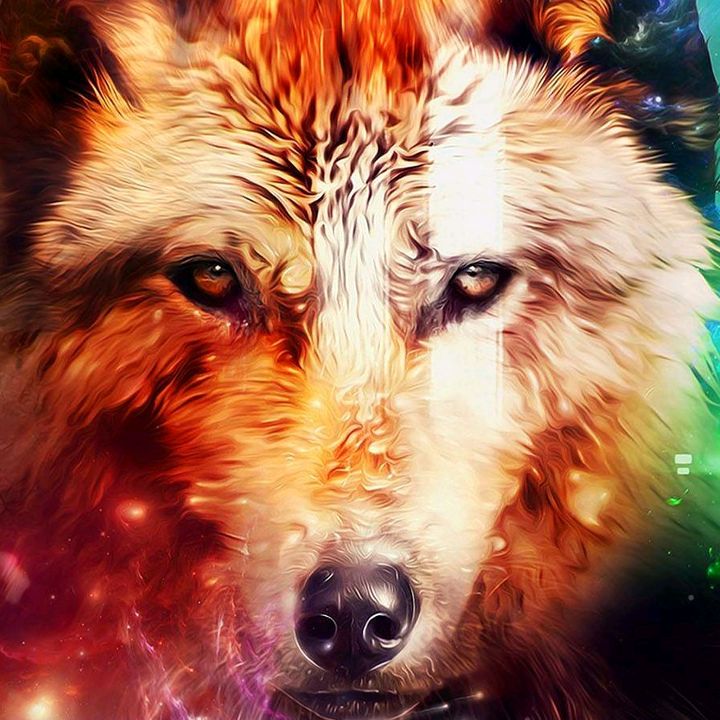 Profile Picture of Kevin Melfi (@kevinmelfi) on Tiktok