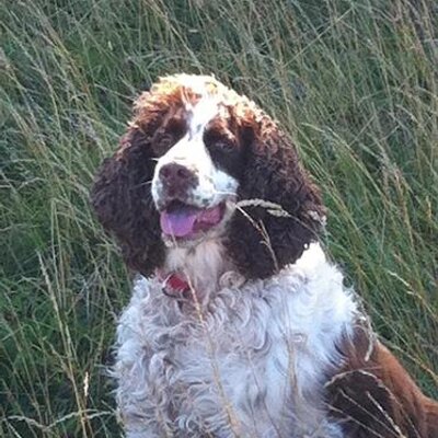 Profile Picture of Craig Plummer (@nubbs12) on Twitter
