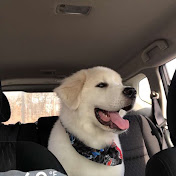 Profile Picture of Thomas Miranda (@thomasmiranda6852) on Youtube