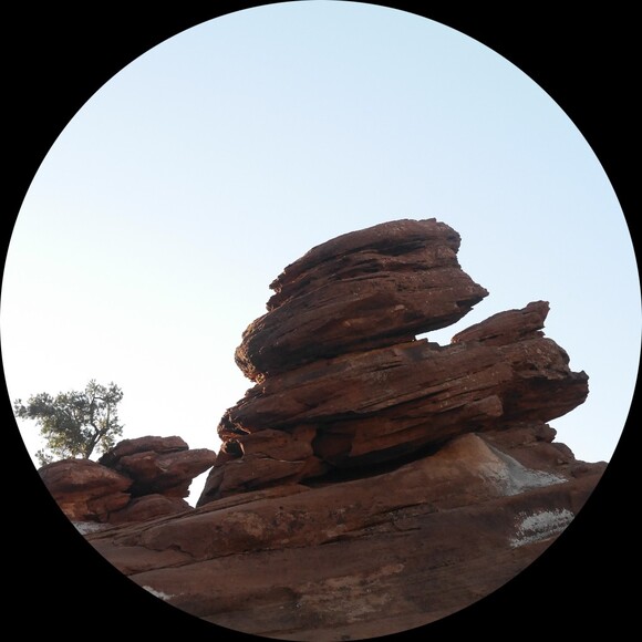 Profile Picture of Truong Huynh (@t0pgun2005) on Poshmark