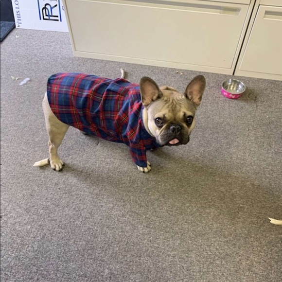 Profile Picture of Nathan Gustafson (@nathan_720) on Poshmark