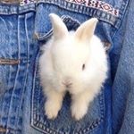 Profile Picture of Audrey Ahmed (@_black_blue_90) on Instagram