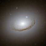 Profile Picture of Kim deaton (@whirledpeas2016) on Instagram