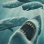 Profile Picture of joshua (@joshuahimelfarb14) on Instagram