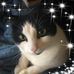 Profile Picture of Chris Felty (@chris.felty.315) on Facebook