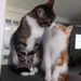 Profile Picture of Lucy Unger (@lucyunger0) on Pinterest