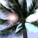 Profile Picture of Sandy Schultz (@sandiego971025) on Pinterest