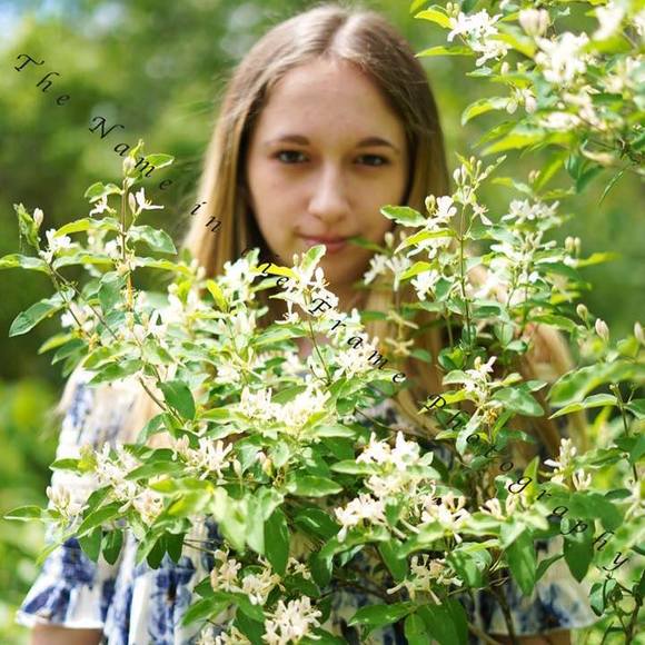 Profile Picture of Taylor Schoenith (@andtay11) on Poshmark