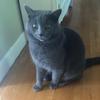 Profile Picture of abbybranch5 (@@abbybranch5) on Tiktok