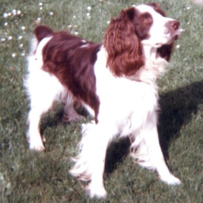 NDUGC (William Mair) - Twitter Profile Picture of NDUGC (William Mair) (@willimair) on Twitter