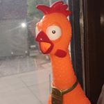Profile Picture of Steve (@steve_fricken_chicken) on Instagram