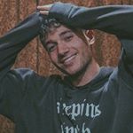 Profile Picture of Jeremy’s Temple (@zuckers_golden_doodle) on Instagram