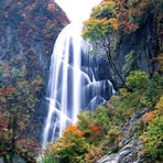 Shena Lancaster - Facebook Profile Picture of Shena Lancaster (@Shena-Lancaster) on Facebook