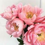 Profile Picture of Alexander Passey (@alexanderpassey) on Instagram