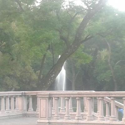 Profile Picture of Dina Arroyo (@spacelessdinah) on Twitter