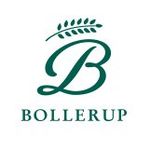 Profile Picture of Bollerup Häst (@bolleruphast) on Instagram