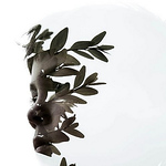 Profile Picture of Tian Ma (@maidou1) on Flickr