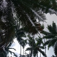 Profile Picture of Luis Palomo (@luis-palomo-1) on Quora