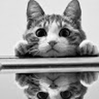 Profile Picture of Kim Pich (@kim-pich-4) on Quora