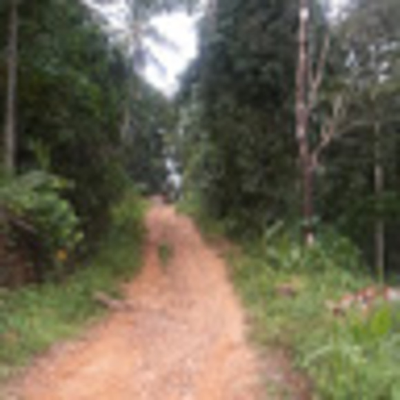 Profile Picture of Tori Sheldon (@fruit2000) on Poshmark