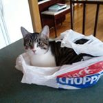 Profile Picture of Michael Schroder (@valli_schro) on Instagram