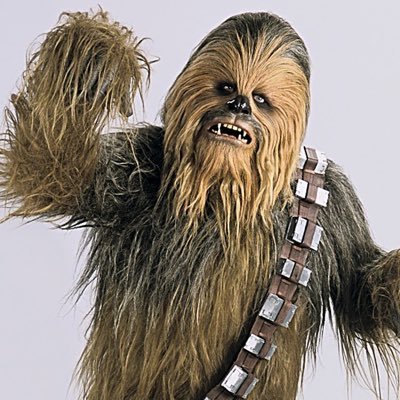 Profile Picture of Rob Conabeer (@ChewyBob76) on Twitter